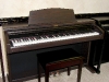 1376-kawai-n