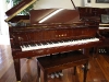 1412-kawai-n